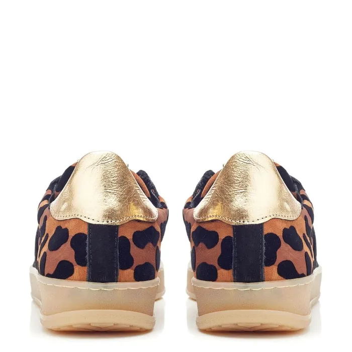 Black Trainers Women Moda In Pelle Bennet Black 8211 Leopard Leather