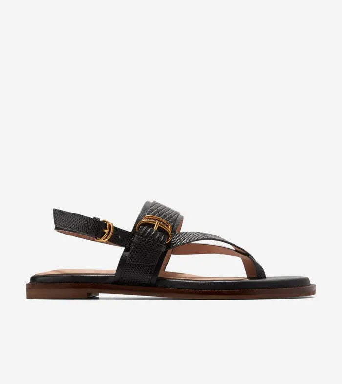 Cole Haan Sandals Women Women039s ANICA LUX BUCKLE SANDAL Black