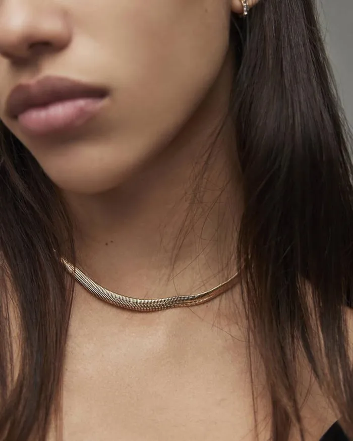 Flat Snake GoldTone Necklace Warm Brass Women AllSaints Accessories