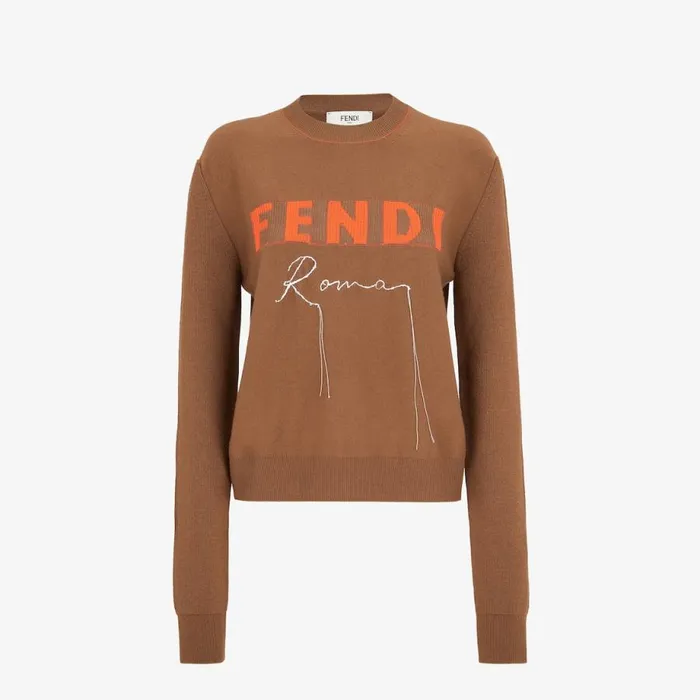 Woman Brown Cashmere Jumper Brown Fendi Knitwear