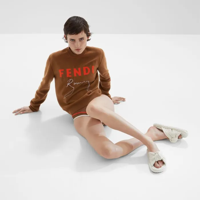 Woman Brown Cashmere Jumper Brown Fendi Knitwear