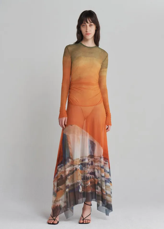 Women Printed Mesh Handkerchief Hem Midi Dress MONSE Dresses