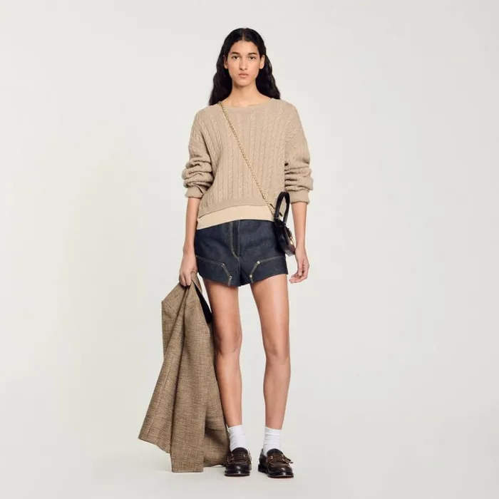 Women Sweaters and Cardigans SANDRO Wool And Cashmere Sweater Beige