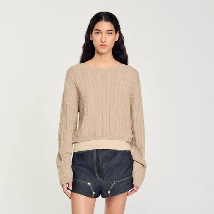 Women Sweaters and Cardigans SANDRO Wool And Cashmere Sweater Beige Women Sweaters and Cardigans SANDRO Wool And Cashmere Sweater Beige