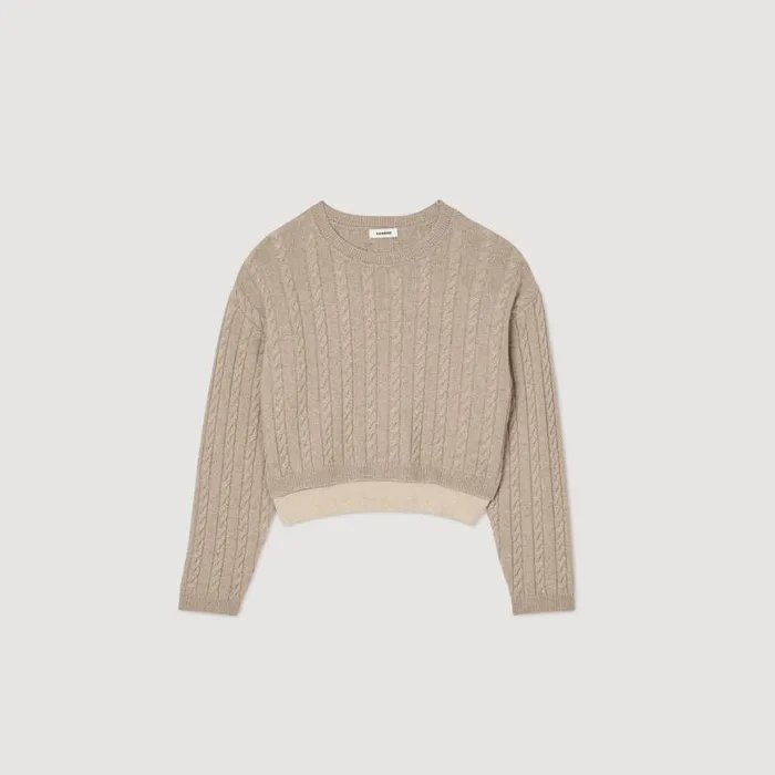 Women Sweaters and Cardigans SANDRO Wool And Cashmere Sweater Beige Women Sweaters and Cardigans SANDRO Wool And Cashmere Sweater Beige