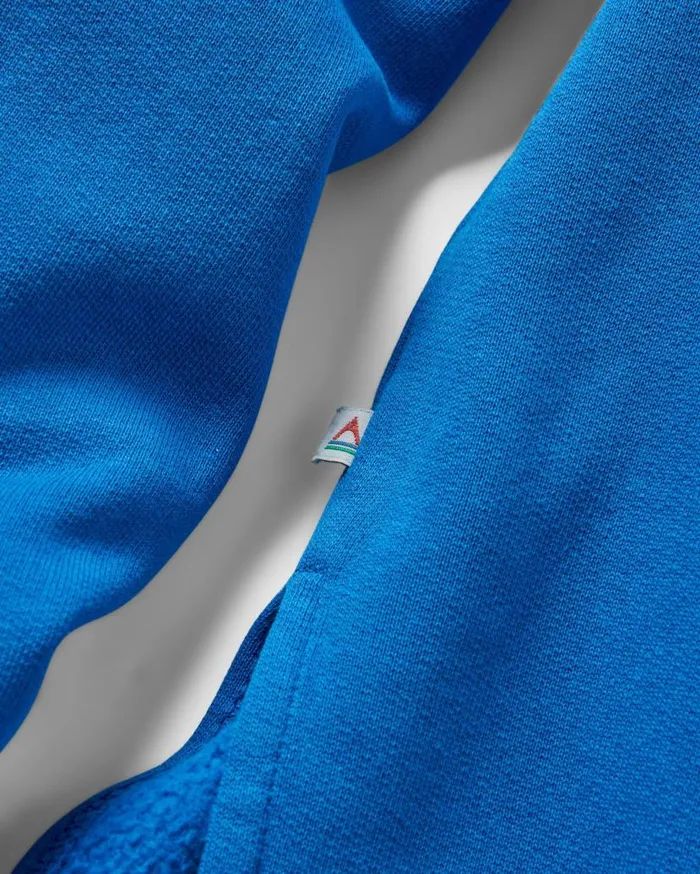 Women Tops Passenger In The Woods Hoodie True Blue True Blue